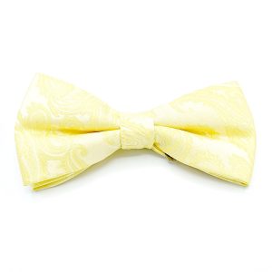 Solid Yellow - Light Yellow Paisley