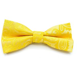 Solid Yellow - Dark Yellow Paisley