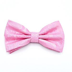 Solid Pink - Pink Paisley