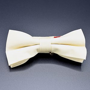 Solid White - Champagne
