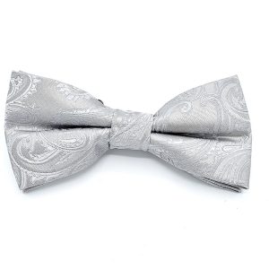 Solid Gray - Classic Silver Paisley