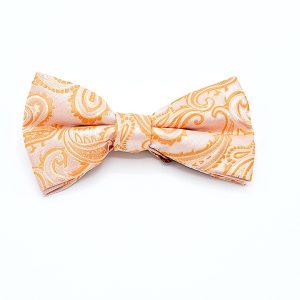 Solid Orange - Orange Paisley