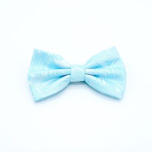 Solid Teal - Light Blue Paisley