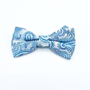 Solid Teal - Teal Paisley