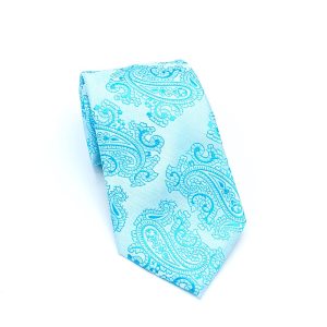 Solid Teal - Big Paisley Teal